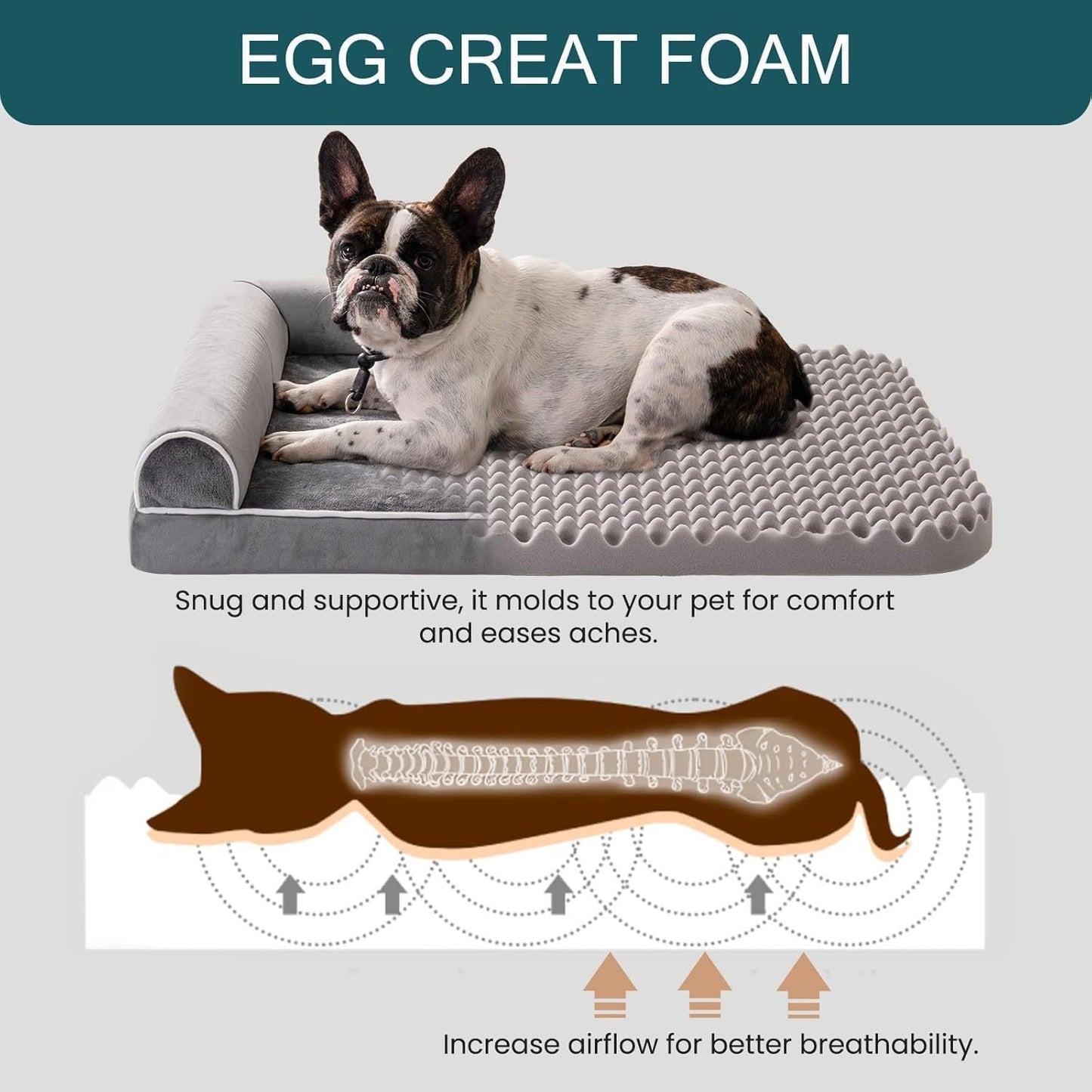 Orthopedic Pet Dog Bed