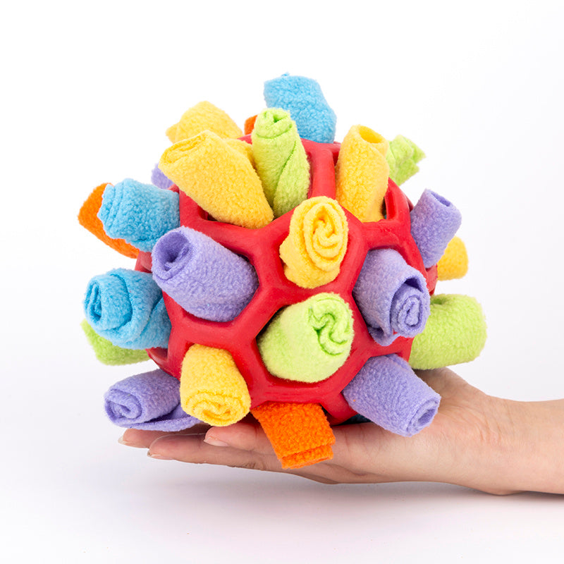 Enrichment Pet Sniff & Snack Puzzle Ball
