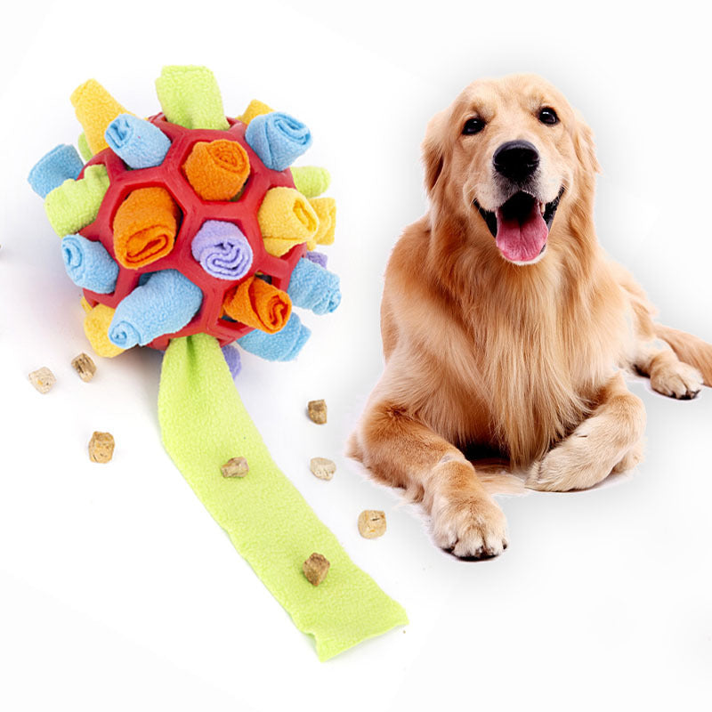 Enrichment Pet Sniff & Snack Puzzle Ball