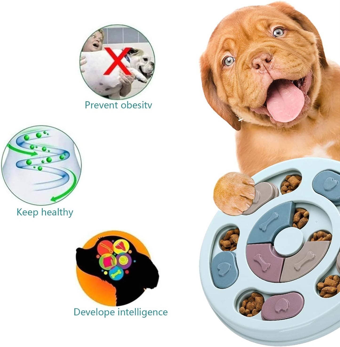 Enrichment Food Puzzle Feeder Toy