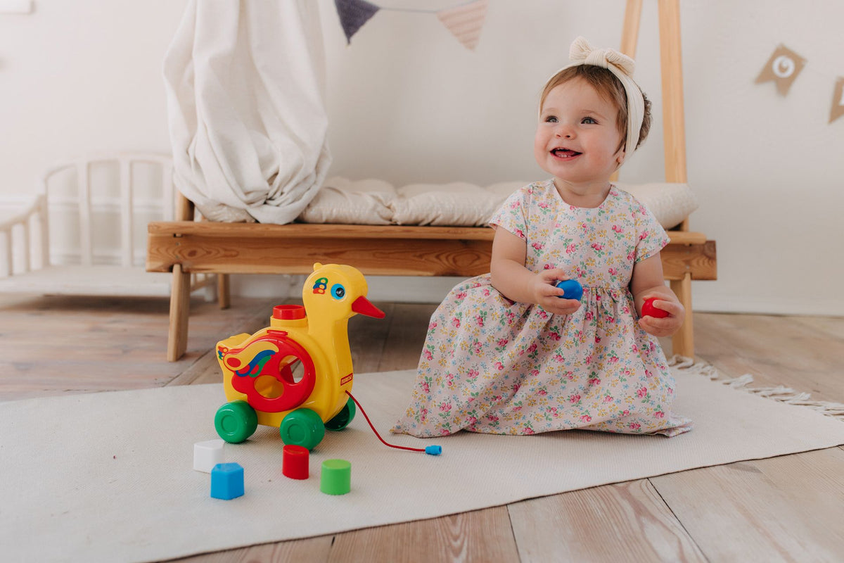 Baby & Toddler Toys