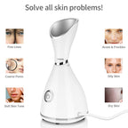 Face Beauty Steamer