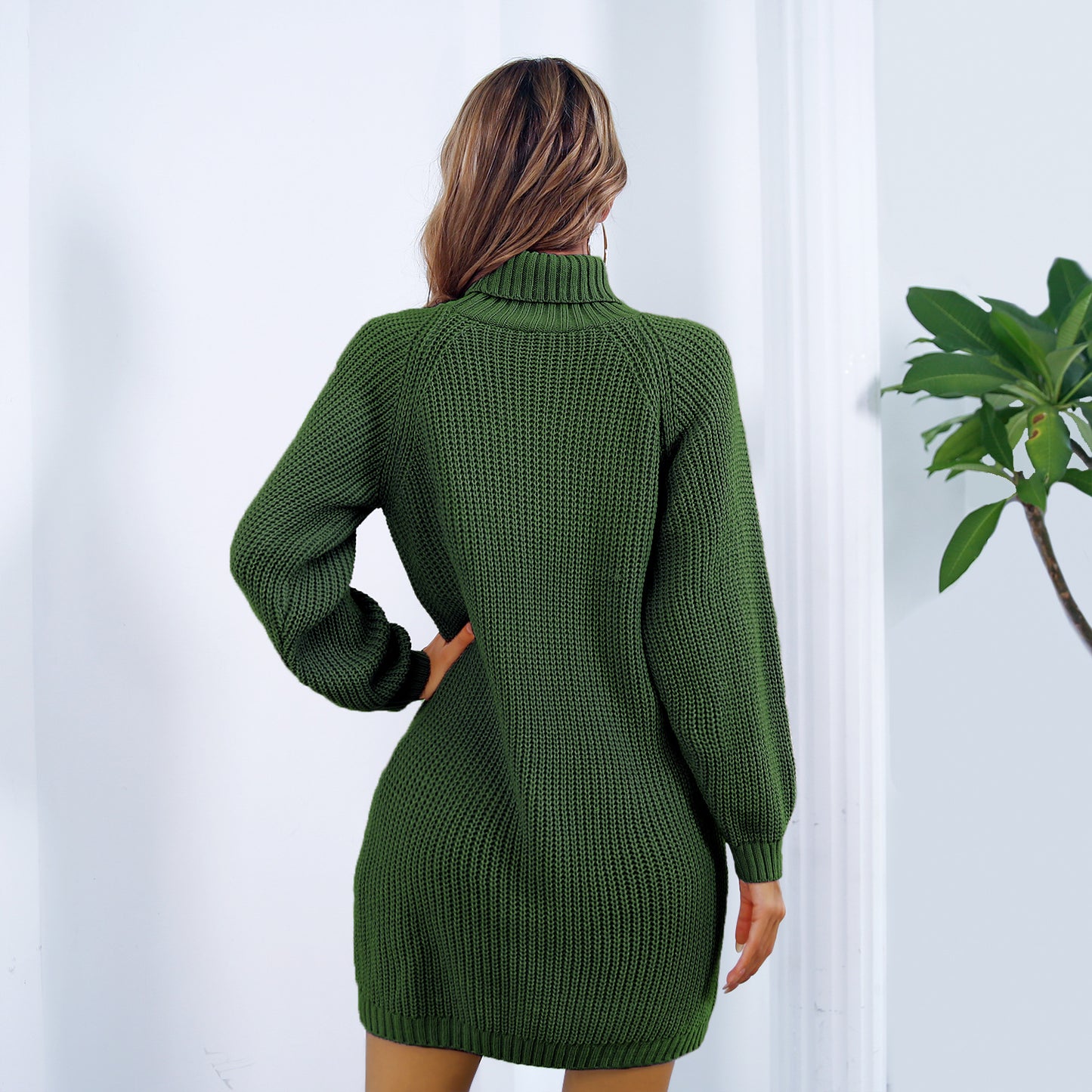Long Turtleneck Sweater Dress With Button