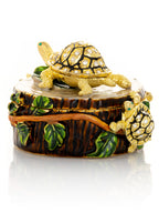 Turtles on Tree Trunk