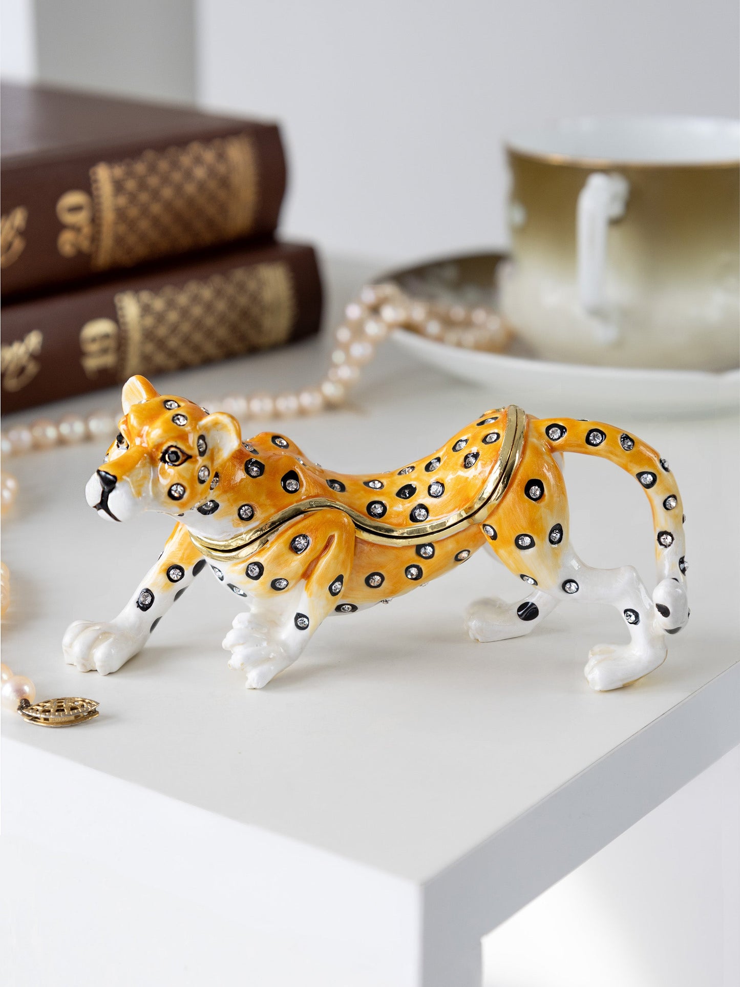 Cheetah on the Hunt