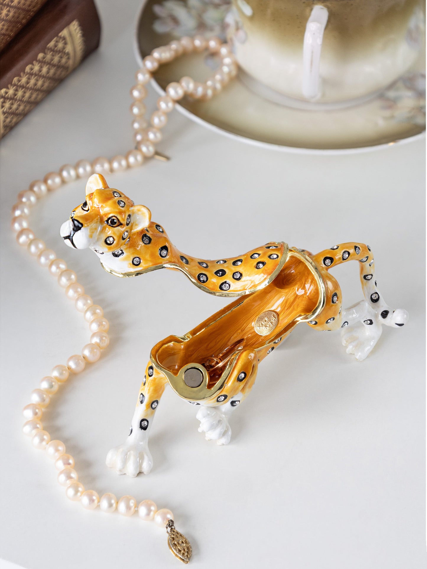 Cheetah on the Hunt
