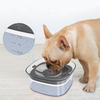 Large Capacity Spill Proof 70oz Dog Water Bowl